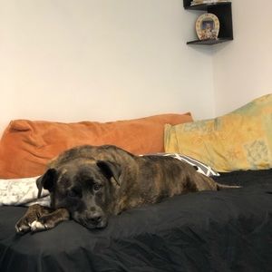 Meet your Posher, Bryan